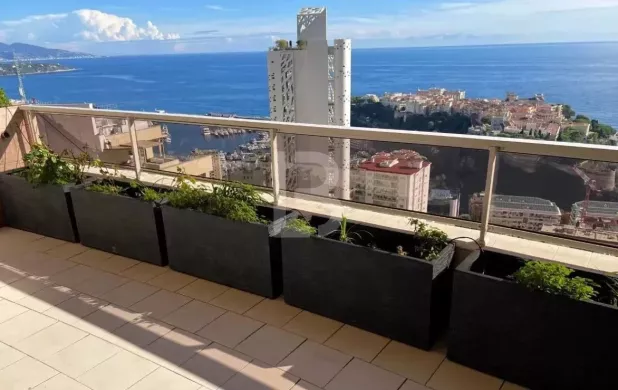 Monaco Apartment 5 Rooms, 220 m²